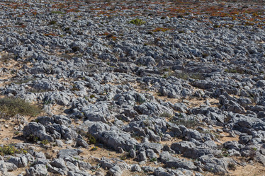 Similar image 6603092