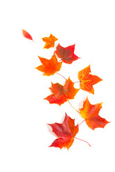 Similar image 6603158