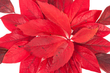 Similar image 6603174