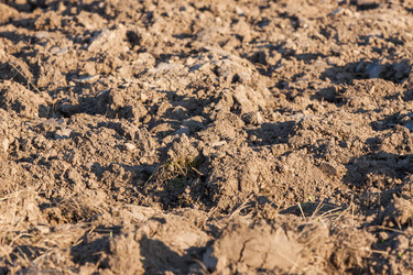 Similar image 6603177