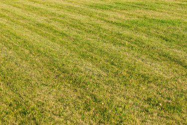 Similar image 6603203