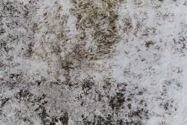 Similar image 6603230