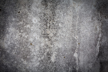 Similar image 6603245