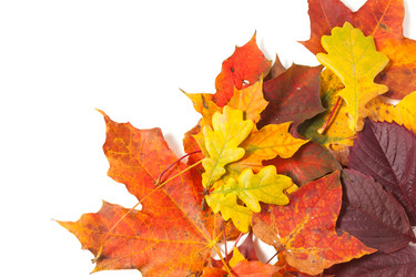 Similar image 6603275