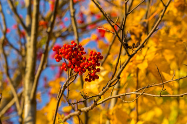 Similar image 6603279