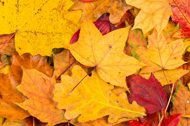 Similar image 6603335