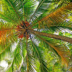 Similar image 6603381