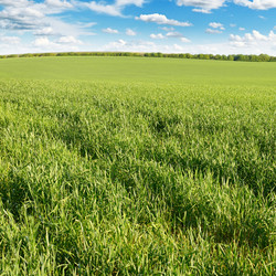 Similar image 6603384