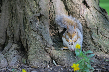 Similar image 6603389