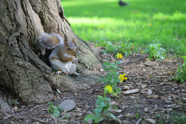 Similar image 6603390