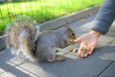 Similar image 6603391