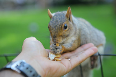 Similar image 6603393