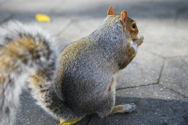 Similar image 6603394