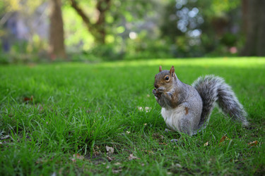 Similar image 6603396