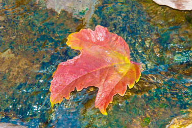 Similar image 6603400