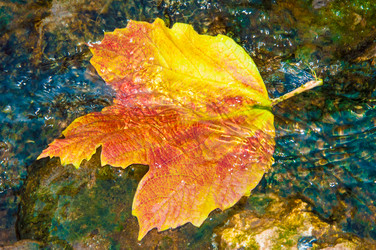 Similar image 6603402