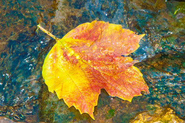 Similar image 6603403