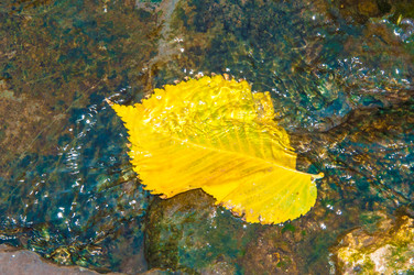 Similar image 6603407