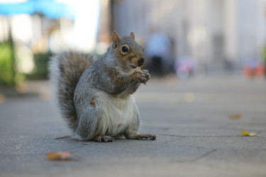 Similar image 6603476