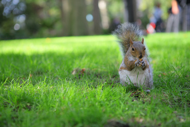 Similar image 6603477