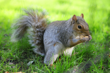 Similar image 6603533