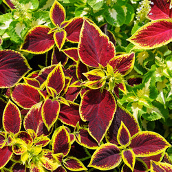 Similar image 6603651