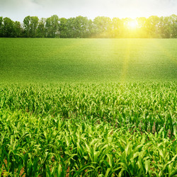 Similar image 6603652