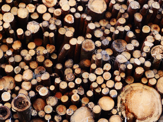 Similar image 6603765