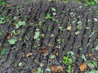 Similar image 6603772