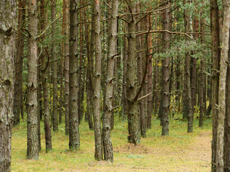 Similar image 6603775