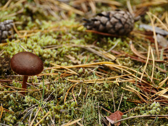 Similar image 6603776