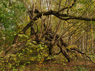 Similar image 6603777