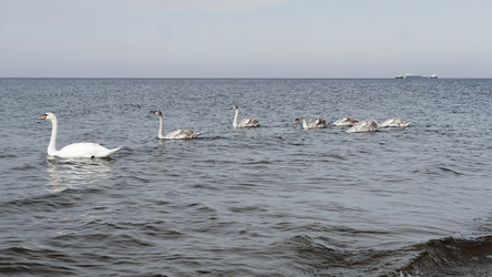 Similar image 6603782