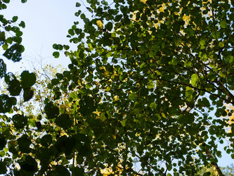 Similar image 6603783