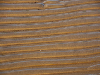 Similar image 6603784