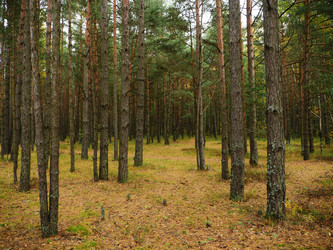 Similar image 6603839