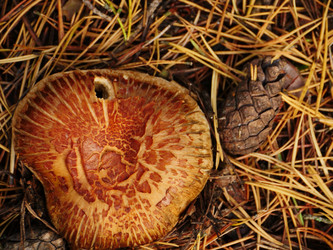 Similar image 6603854