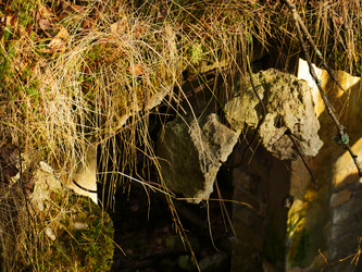 Similar image 6603857