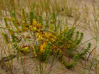 Similar image 6603865