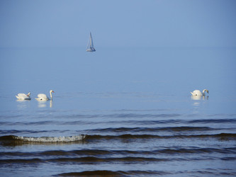 Similar image 6603870