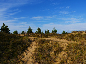 Similar image 6603872