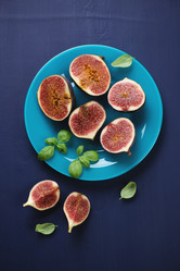 Similar image 6603896