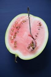 Similar image 6603900