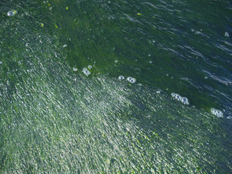 Similar image 6603995