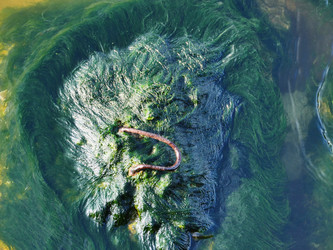 Similar image 6603997