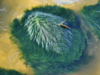 Similar image 6603998