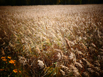 Similar image 6603999