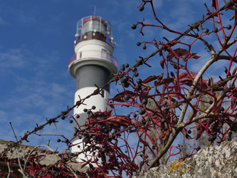 Similar image 6604004