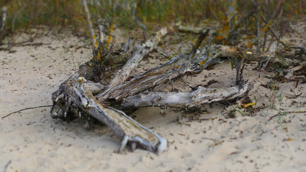 Similar image 6604013