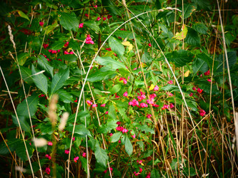 Similar image 6604015